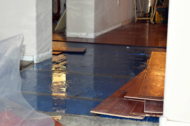 Professional Burst Pipe Cleanup technician working in Hopkins, MI